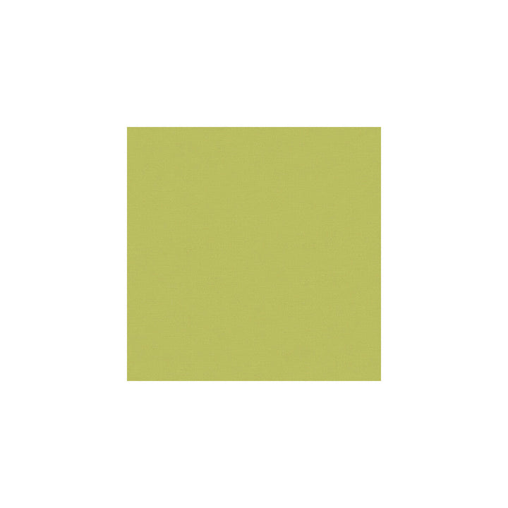 Flirt Prairie by Kravet Basics Designer Fabric PERFECT PLAINS COTTON - 61%;POLYESTER - 39% India HEAVY Horizontal: and Vertical: 54 - Swanky Fabrics -