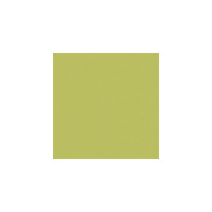 Kravet Fabric Flirt Prairie