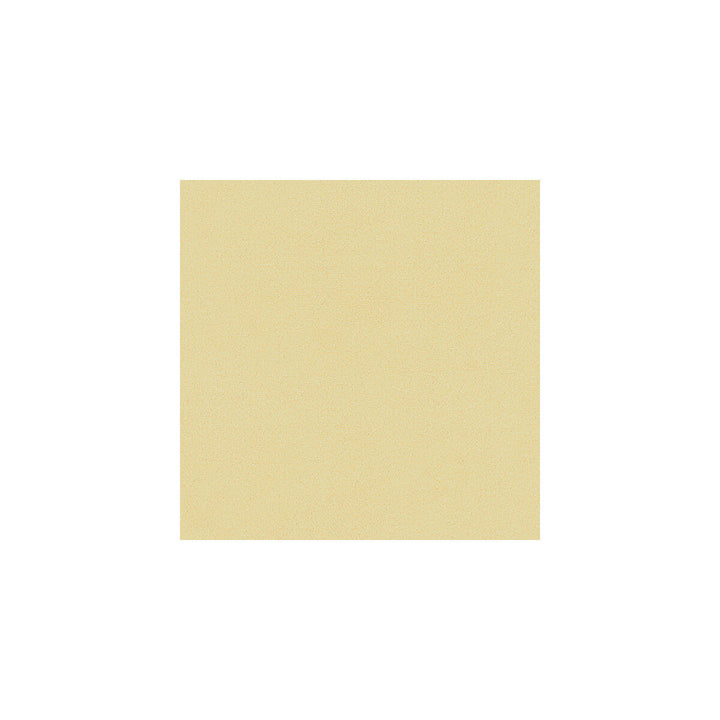 Broadmoor Cameo by Kravet Basics Designer Fabric PERFECT PLAINS POLYESTER - 100% China HEAVY Horizontal: and Vertical: 54 - Swanky Fabrics -