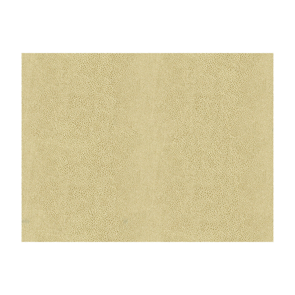 Chic Shagreen White Gold by Kravet Couture Designer Fabric MODERN LUXE POLYESTER - 82%;COTTON - 18% Italy HEAVY Horizontal: 13.5 and Vertical: - 55 - Swanky Fabrics -