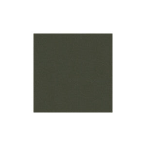 Kravet Fabric Delta Iron