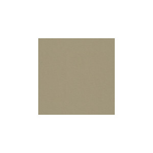 Kravet Fabric Delta Stone