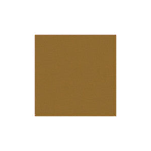 Kravet Fabric Delta Toffee