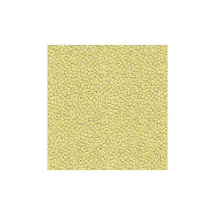 Polka Dot Plush Wasabi by Kravet Couture Designer Fabric MODERN COLORS III VISCOSE - 55%;COTTON - 25%;POLYESTER - 20% Belgium HEAVY Horizontal: 7 and Vertical: 7 54 - Swanky Fabrics -