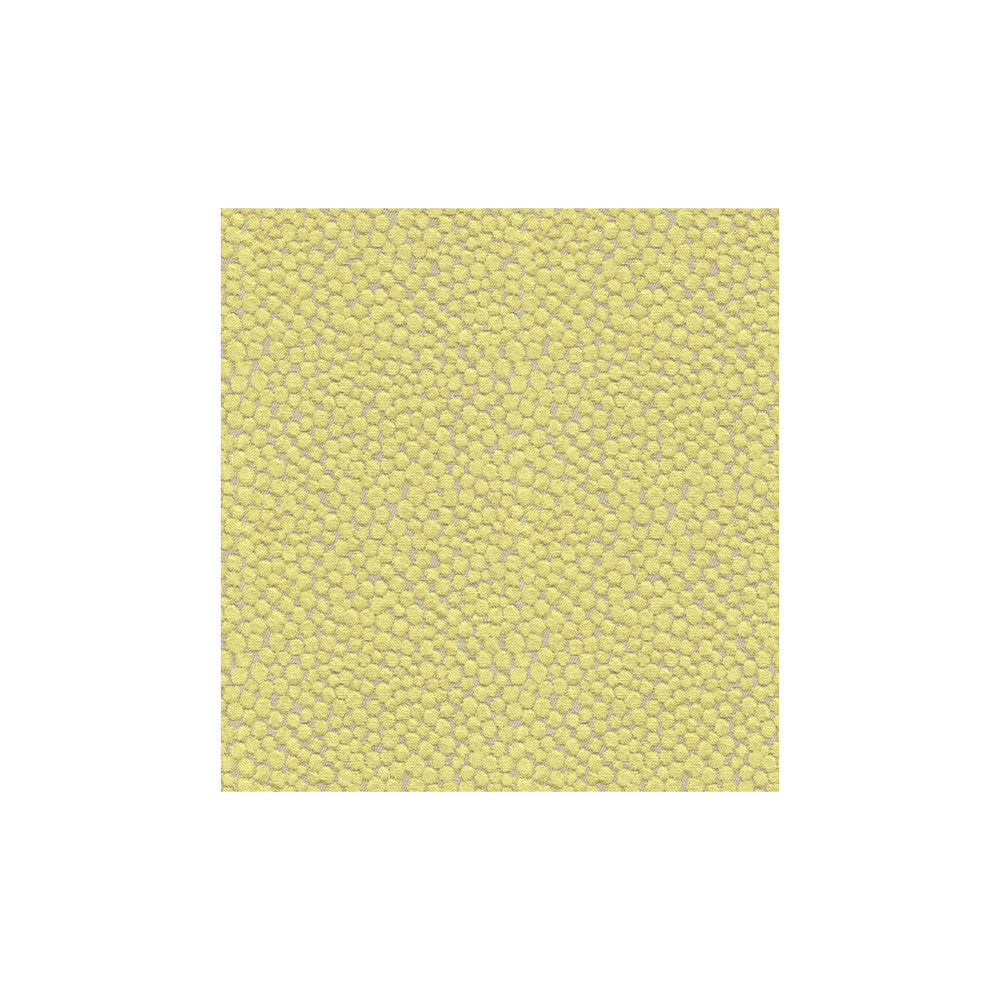 Polka Dot Plush Wasabi by Kravet Couture Fabric Kravet Couture Fabric Polka Dot Plush WasabiFabric MODERN COLORS III VISCOSE - 55%;COTTON - 25%;POLYESTER - 20% Belgium </p><p>Repeat: H: 7, V: 7 54 - Fabric Carolina -