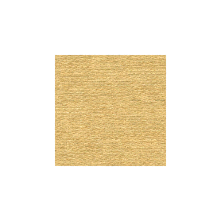 33001-116 by Kravet Smart Designer Fabric VISCOSE - 70%;POLYESTER - 30% Turkey HEAVY Horizontal: and Vertical: 55 - Swanky Fabrics -