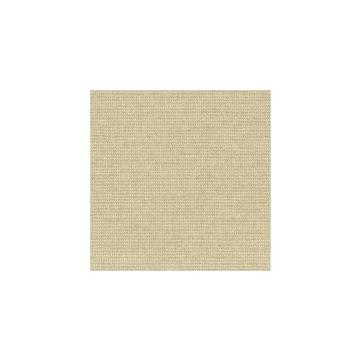 33027-116 by Kravet Smart Designer Fabric RAYON - 100% United States HEAVY Horizontal: 27 and Vertical: 58.5 - Swanky Fabrics -