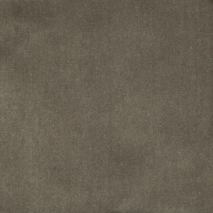 Velvet Treat Grey by Kravet Couture Designer Fabric MODERN COLORS III COTTON - 100% Netherlands HEAVY Horizontal: 0 and Vertical: 0 54 - Swanky Fabrics -