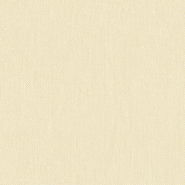 33120.1111 by Kravet Basics Designer Fabric Perfect Plains Polyester 100% India Heavy Horizontal: see sample and Vertical: see sample 56 inches - Swanky Fabrics -