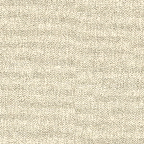33120.1116 by Kravet Basics Designer Fabric Perfect Plains Polyester 100% India Heavy Horizontal: see sample and Vertical: see sample 56 inches - Swanky Fabrics -