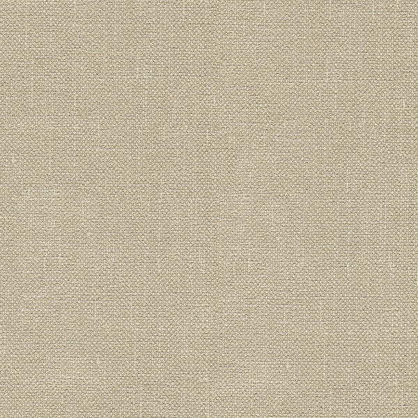 33120.116 by Kravet Basics Designer Fabric - Polyester 100% India Heavy H" -, V: - 56 inches  - Swanky Fabrics -  Kravet Basics