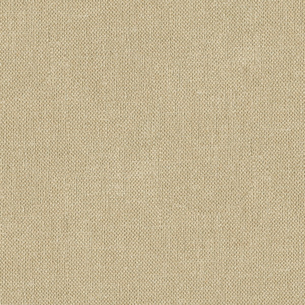 33120.1616 by Kravet Basics Designer Fabric in our sample Polyester 100% India Heavy Horizontal: See Sample and Vertical: See Sample 56 inches - Swanky Fabrics -