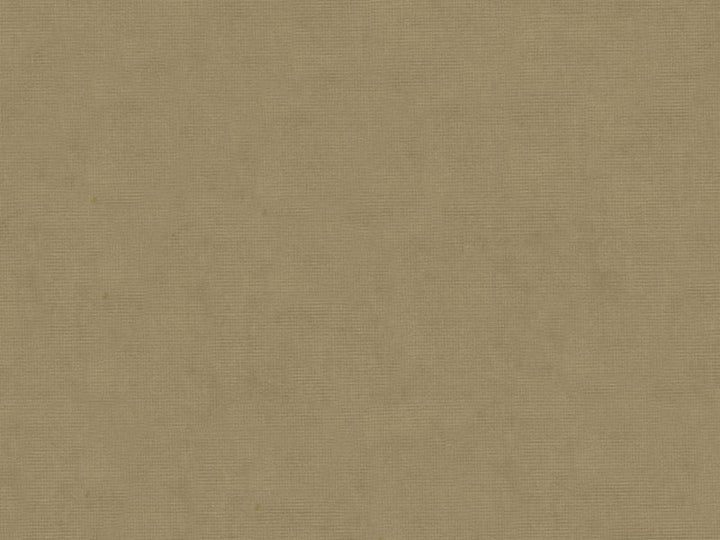 33125.106 by Kravet Design Designer Fabric our website for purchase Cotton 61%, Viscose 39% Netherlands see sample Horizontal: see sample and Vertical: see sample 55 inches - Swanky Fabrics -