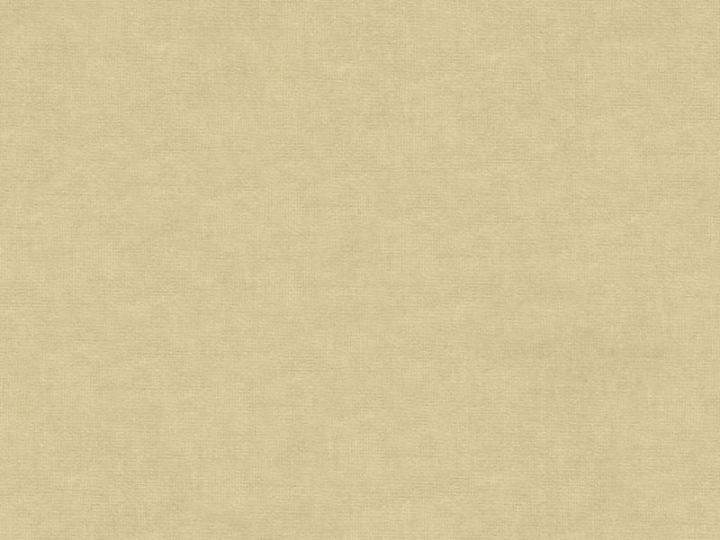 33125.1111 by Kravet Design Designer Fabric in our sample Cotton 61%, Viscose 39% Netherlands See Sample Horizontal: See Sample and Vertical: See Sample 55 inches - Swanky Fabrics -