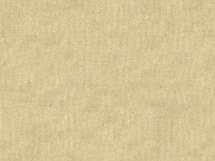 33125.1111 by Kravet Design Designer Fabric our website for purchase Cotton 61%, Viscose 39% Netherlands see sample Horizontal: see sample and Vertical: see sample 55 inches - Swanky Fabrics -
