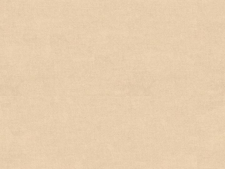 33125.1116 by Kravet Design Designer Fabric - Cotton 61%, Viscose 39% Netherlands - H" -, V: - 55 inches  - Swanky Fabrics -  Kravet Design