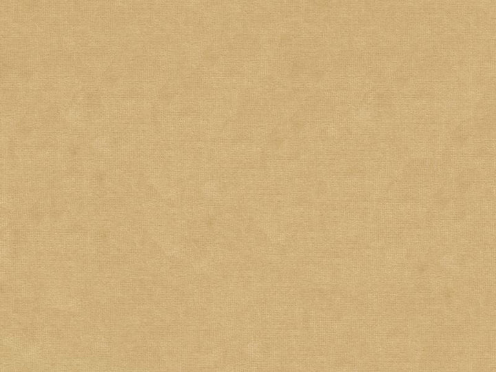 33125.14 by Kravet Design Designer Fabric our website for purchase Cotton 61%, Viscose 39% Netherlands see sample Horizontal: see sample and Vertical: see sample 55 inches - Swanky Fabrics -