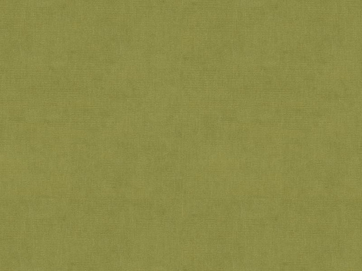 33125.303 by Kravet Design Designer Fabric our website for purchase Cotton 61%, Viscose 39% Netherlands see sample Horizontal: see sample and Vertical: see sample 55 inches - Swanky Fabrics -