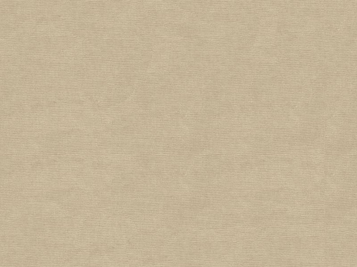 33125.311 by Kravet Design Designer Fabric - Cotton 61%, Viscose 39% Netherlands - H" -, V: - 55 inches  - Swanky Fabrics -  Kravet Design