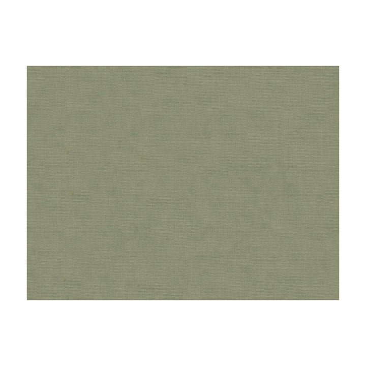 33125-1130 by Kravet Design Designer Fabric COTTON - 61%;VISCOSE - 39% Netherlands Horizontal: and Vertical: 55 - Swanky Fabrics -
