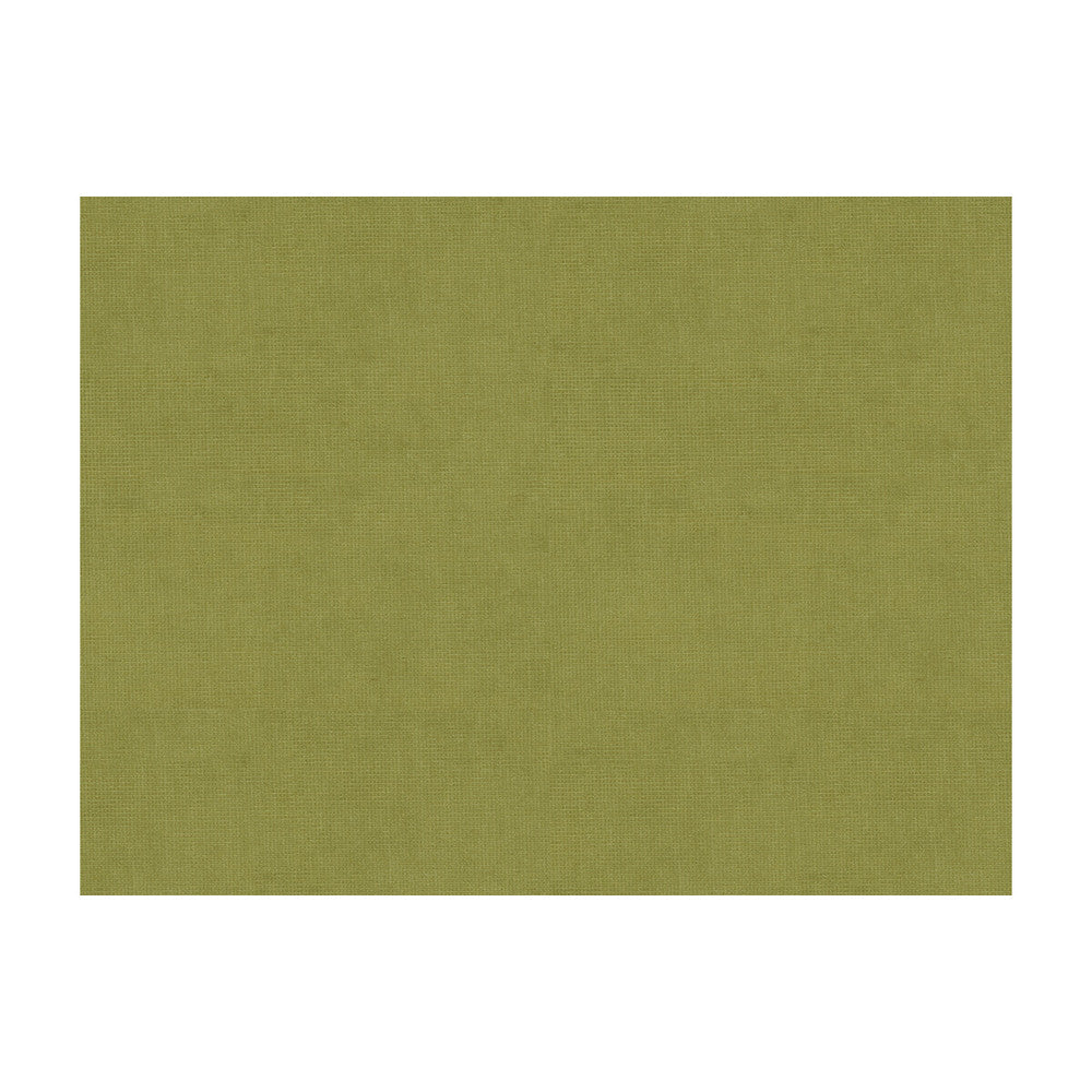 33125-303 by Kravet Design Designer Fabric COTTON - 61%;VISCOSE - 39% Netherlands Horizontal: and Vertical: 55 - Swanky Fabrics -