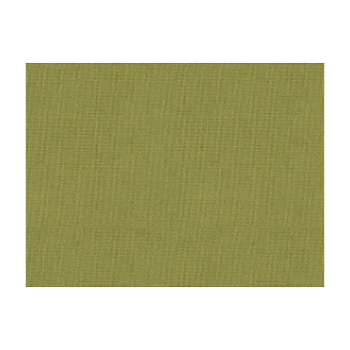 33125-303 by Kravet Design Designer Fabric COTTON - 61%;VISCOSE - 39% Netherlands Horizontal: and Vertical: 55 - Swanky Fabrics -