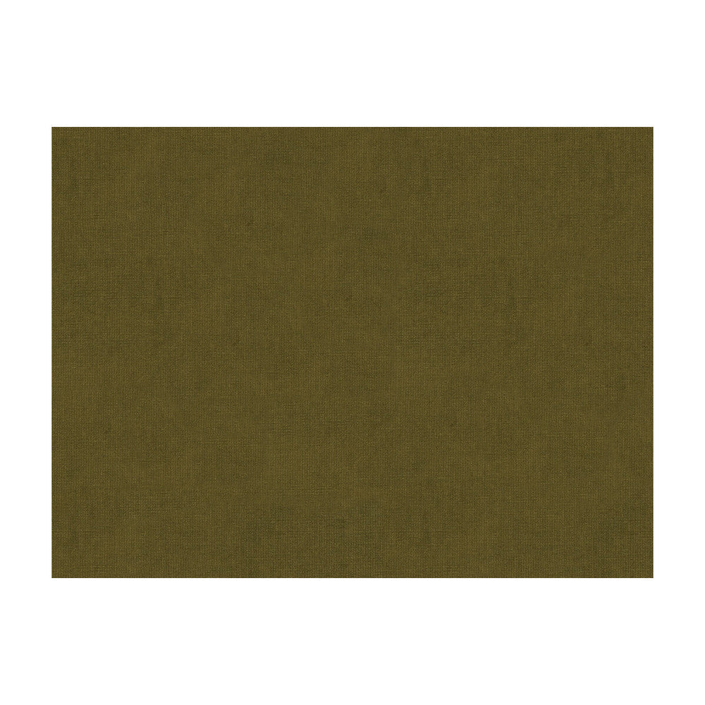 33125-30 by Kravet Design Designer Fabric COTTON - 61%;VISCOSE - 39% Netherlands Horizontal: and Vertical: 55 - Swanky Fabrics -