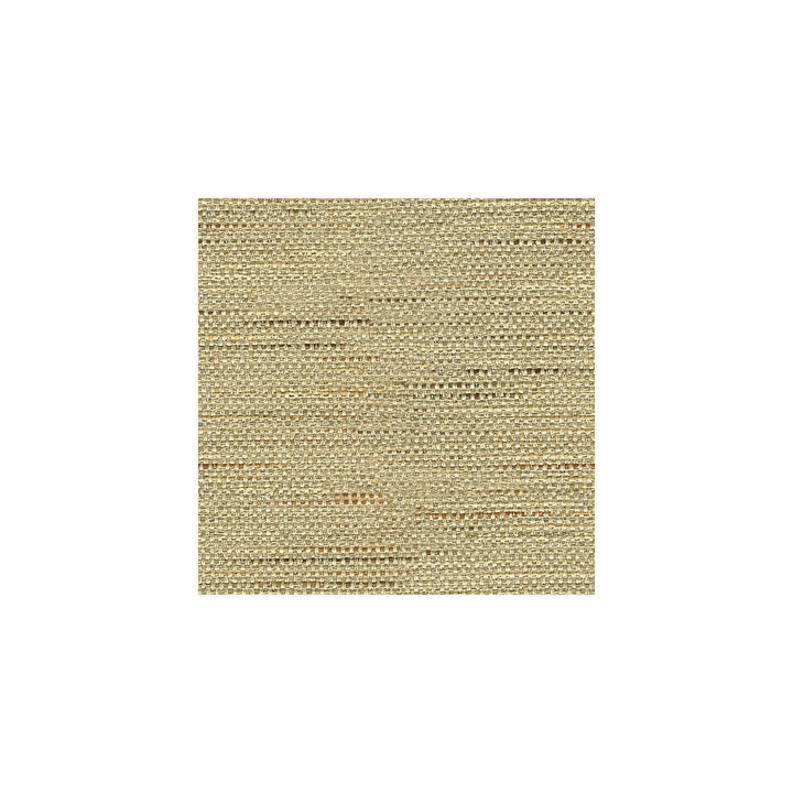 33135-106 by Kravet Basics Designer Fabric ECHO HEIRLOOM INDIA POLYESTER - 80%;COTTON - 20% China HEAVY Horizontal: - and Vertical: - 56 - Swanky Fabrics -
