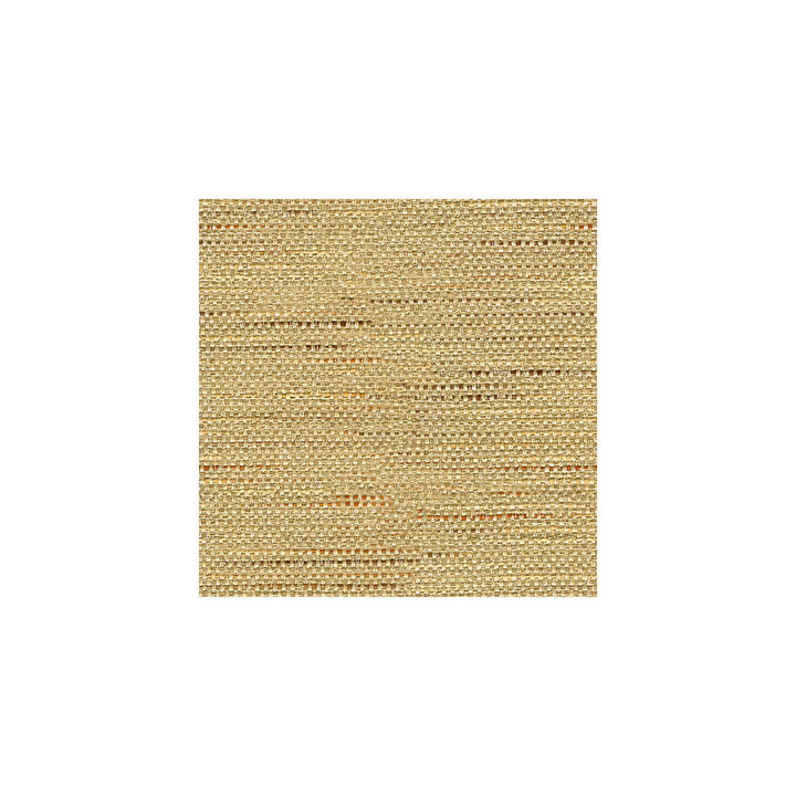 33135-1611 by Kravet Basics Designer Fabric ECHO HEIRLOOM INDIA POLYESTER - 80%;COTTON - 20% China HEAVY Horizontal: and Vertical: 56 - Swanky Fabrics -