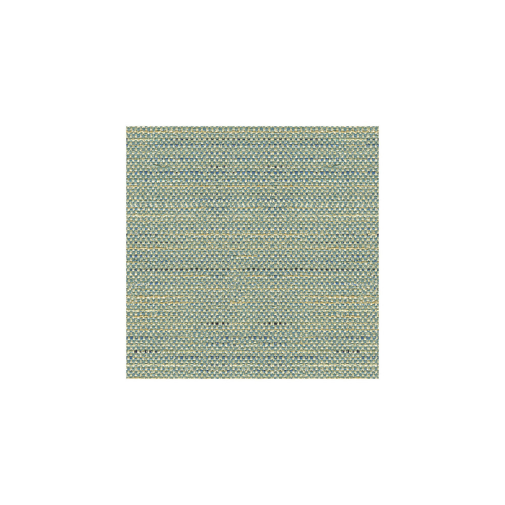 33135-5 by Kravet Basics Designer Fabric ECHO HEIRLOOM INDIA POLYESTER - 80%;COTTON - 20% China HEAVY Horizontal: - and Vertical: - 56 - Swanky Fabrics -