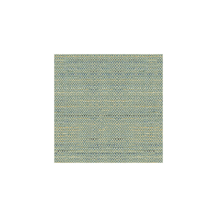 33135-5 by Kravet Basics Designer Fabric ECHO HEIRLOOM INDIA POLYESTER - 80%;COTTON - 20% China HEAVY Horizontal: - and Vertical: - 56 - Swanky Fabrics -