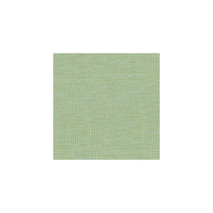 33136-135 by Kravet Basics Designer Fabric ECHO HEIRLOOM INDIA POLYESTER - 100% China LIGHT Horizontal: and Vertical: 56 - Swanky Fabrics -