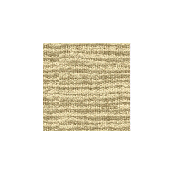 33166-1616 by Kravet Design Designer Fabric ECHO HEIRLOOM INDIA POLYESTER - 80%;LINEN - 20% China HEAVY Horizontal: and Vertical: 54 - Swanky Fabrics -