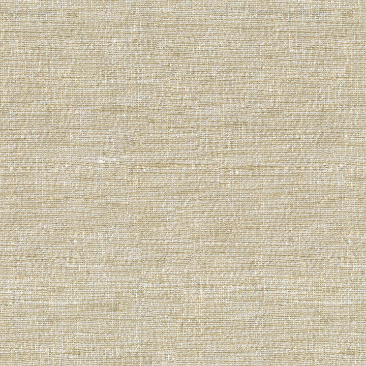 Kravet Basics 33281-1116 by Kravet Basics Fabric Kravet Basics Fabric Kravet Basics 33281-1116Fabric POLYESTER - 100% India </p><p>Repeat: H: , V: 54 - Fabric Carolina -