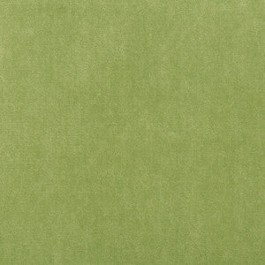 Kravet Fabric 33299-303