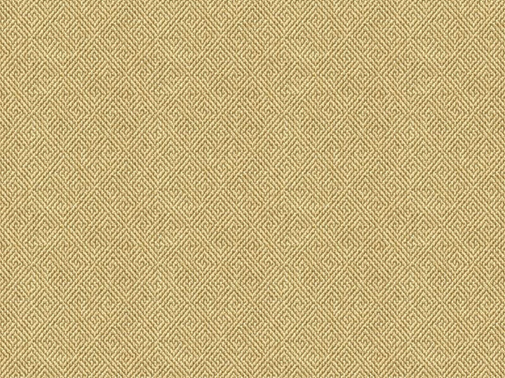 33349.1116 by Kravet Smart Designer Fabric Gis Cotton 51%, Polyester 49% USA Heavy Horizontal: 2.5 inches and Vertical: 2.5 inches 57 inches - Swanky Fabrics -