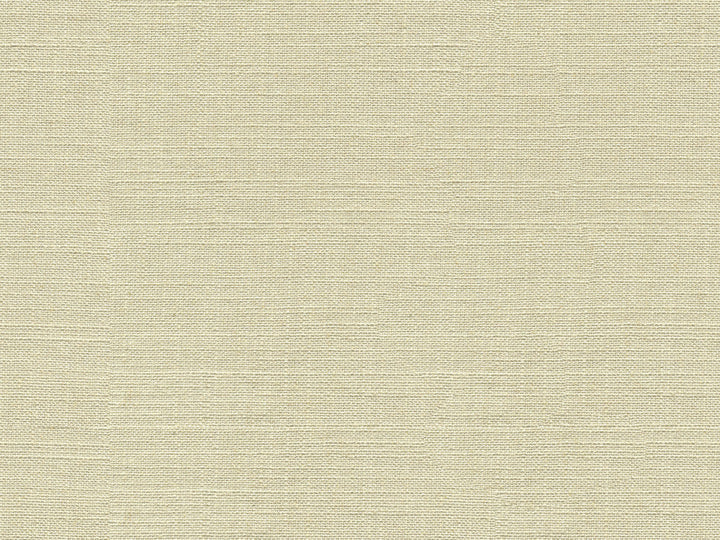 33401-1111 by Kravet Smart Designer Fabric GIS VISCOSE - 80%;LINEN - 20% China HEAVY Horizontal: and Vertical: 55 - Swanky Fabrics -