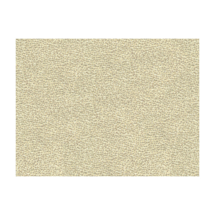 Shagreen Luxury Platinum by Kravet Couture Designer Fabric MODERN LUXE VISCOSE - 71%;POLYESTER - 29% Turkey HEAVY Horizontal: and Vertical: 57 - Swanky Fabrics -