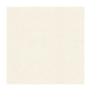 Kravet Fabric Cover Salt