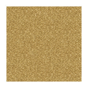 Kravet Fabric Turn Heads Vanilla