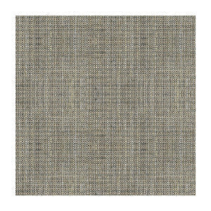 Kravet Fabric Rafael Coal