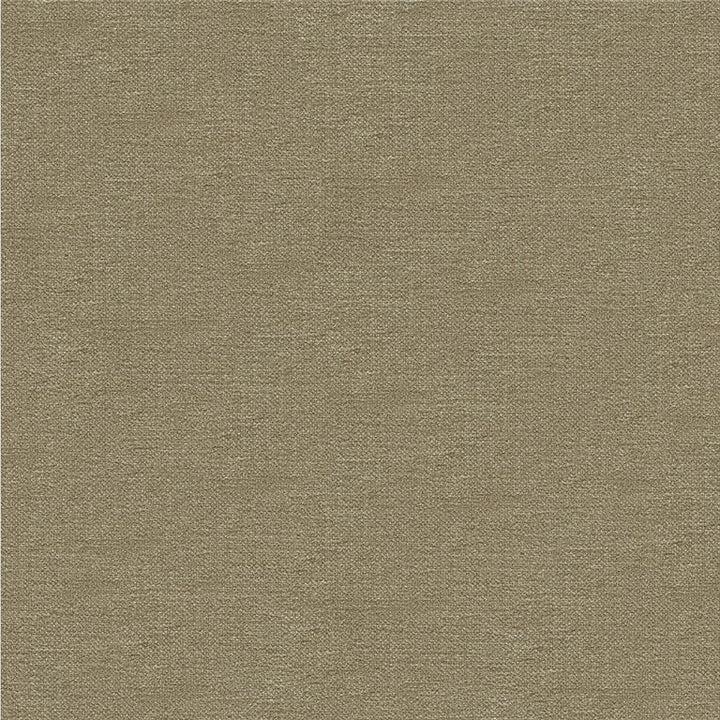 33831.106 by Kravet Smart Designer Fabric in our sample Rayon 72%, Polyester 28% USA Heavy Horizontal: See Sample and Vertical: See Sample 55 inches - Swanky Fabrics -