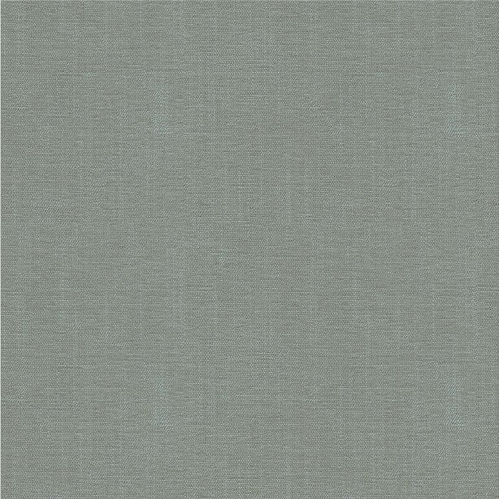 33831.52 by Kravet Smart Designer Fabric in our sample Rayon 72%, Polyester 28% USA Heavy Horizontal: See Sample and Vertical: See Sample 55 inches - Swanky Fabrics -