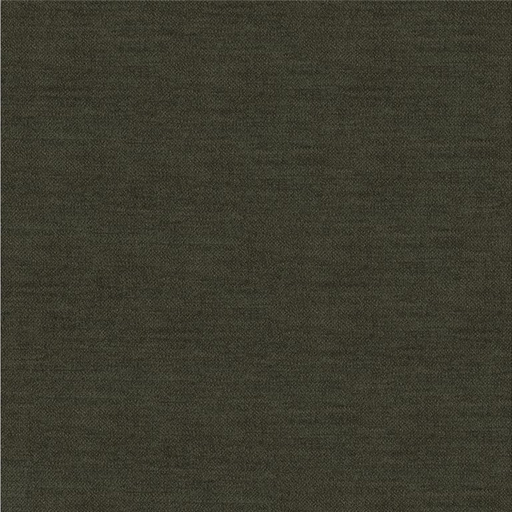 33831.8 by Kravet Smart Designer Fabric in our sample Rayon 72%, Polyester 28% USA Heavy Horizontal: See Sample and Vertical: See Sample 55 inches - Swanky Fabrics -