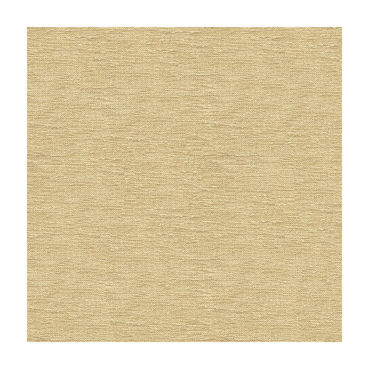 33831-116 by Kravet Smart Designer Fabric PERFORMANCE CRYPTON HOME RAYON - 72%;POLYESTER - 28% United States HEAVY Horizontal: - and Vertical: - 55 - Swanky Fabrics -