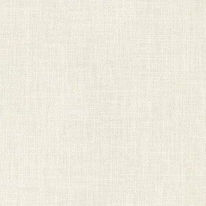 Kravet Fabric Basics 33842-1001