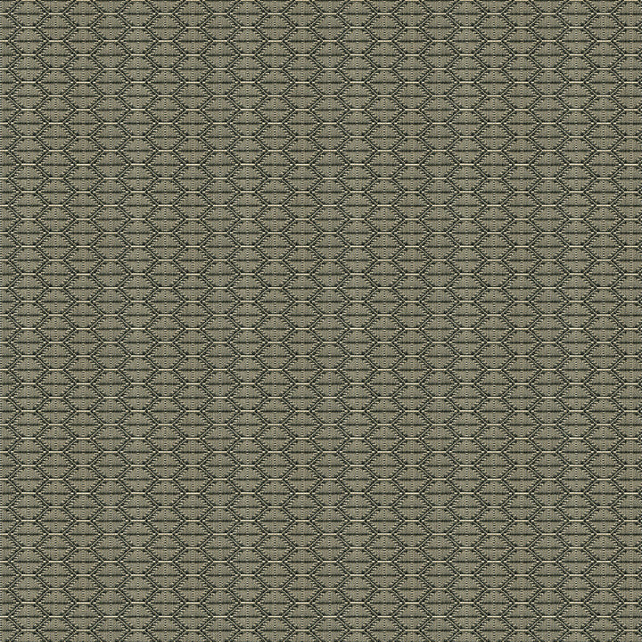 Nzuri Thunder by Kravet Contract Designer Fabric TANZANIA J BANKS COLLECTION COTTON - 100% United States HEAVY Horizontal: 2.5 and Vertical: 1 59.5 - Swanky Fabrics -