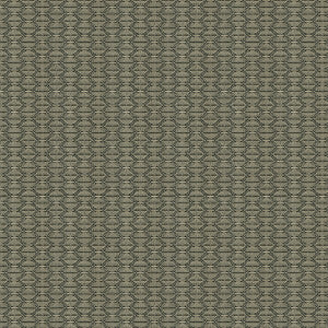 Kravet Fabric Nzuri Thunder