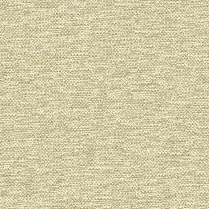 33876.1001 by Kravet Contract Designer Fabric Crypton Incase Rayon 72%, Polyester 28% USA Heavy Horizontal: see sample and Vertical: see sample 55 inches - Swanky Fabrics -