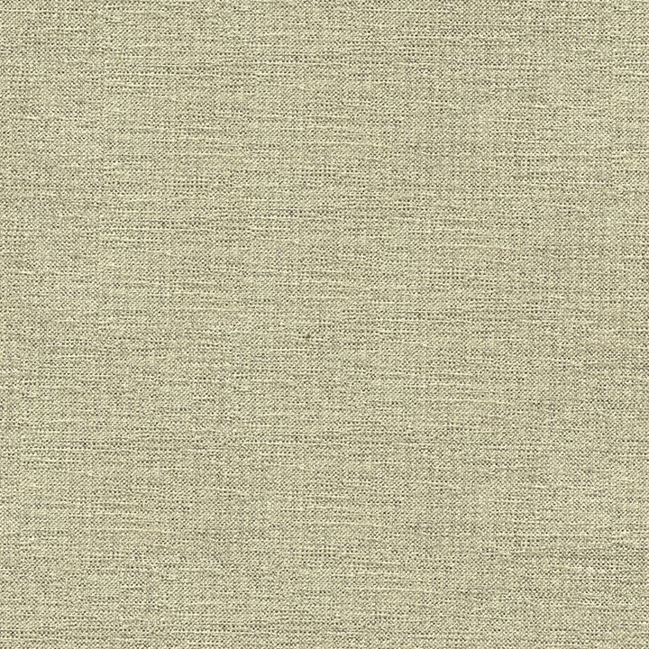 33876.1611 by Kravet Contract Designer Fabric in our sample Rayon 72%, Polyester 28% USA Heavy Horizontal: See Sample and Vertical: See Sample 55 inches - Swanky Fabrics -